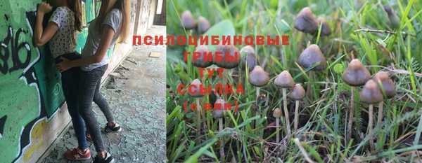 гашиш Алзамай