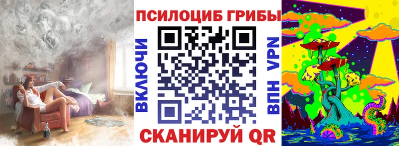 где продают   сайты даркнета наркотические препараты  Галлюциногенные грибы Cubensis  Пикалёво 